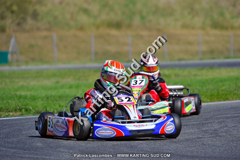DSC_ (1282).jpg